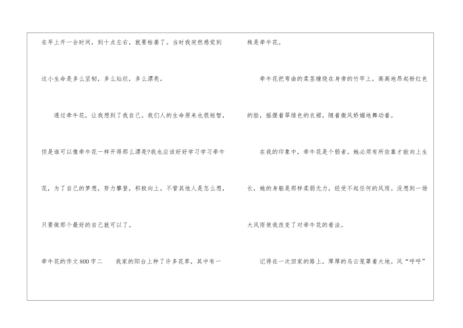 关于牵牛花的作文800字5篇_第3页