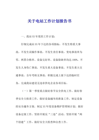 关于电站工作计划报告书
