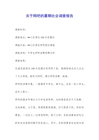 关于网吧的暑期社会调查报告-