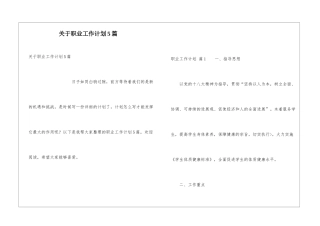 关于职业工作计划5篇