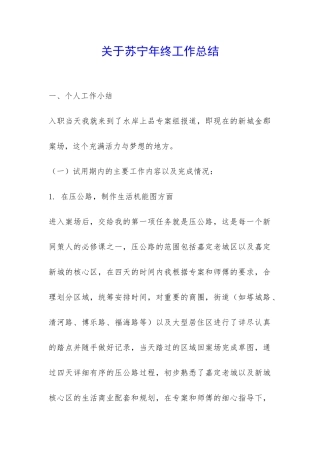 关于苏宁年终工作总结-