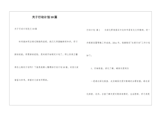 关于行动计划10篇
