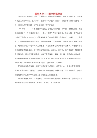 高中语文 雨自然——感悟人生——雨中的那把伞作文素材