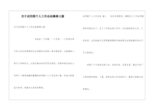 关于试用期个人工作总结集锦七篇