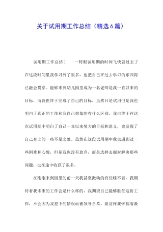 关于试用期工作总结