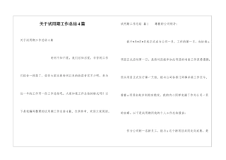 关于试用期工作总结4篇