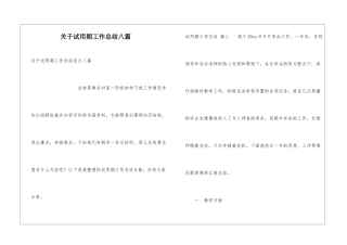 关于试用期工作总结八篇