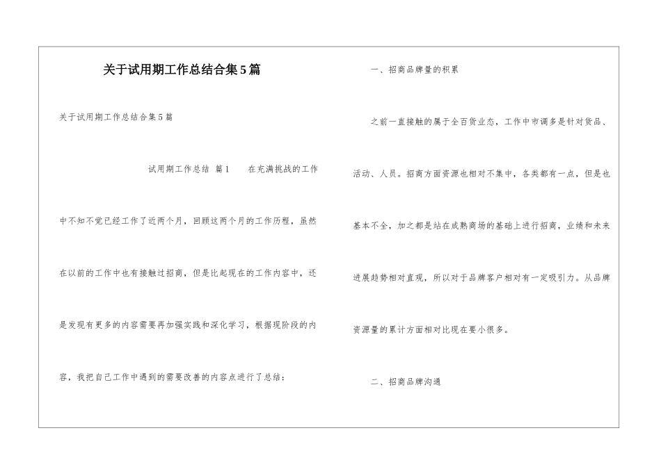 关于试用期工作总结合集5篇_第1页