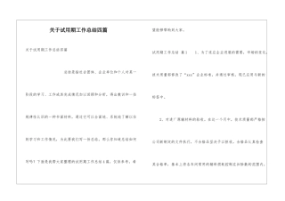 关于试用期工作总结四篇