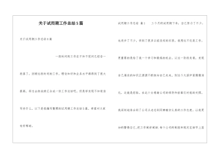 关于试用期工作总结5篇