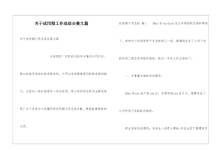 关于试用期工作总结合集九篇