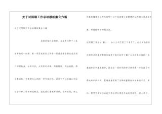 关于试用期工作总结模板集合六篇