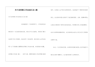 关于试用期工作总结汇总5篇
