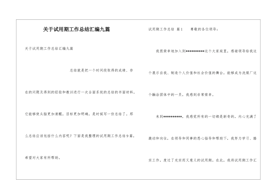 关于试用期工作总结汇编九篇_第1页