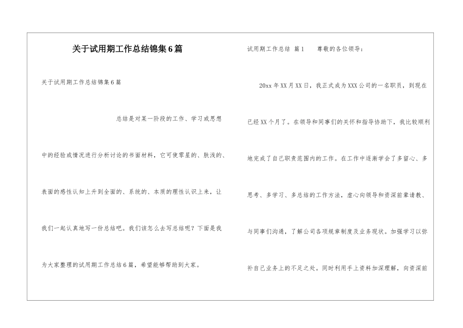 关于试用期工作总结锦集6篇_第1页
