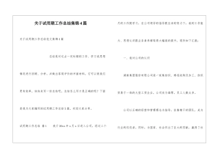 关于试用期工作总结集锦4篇