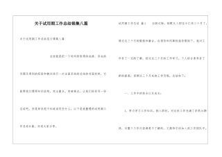 关于试用期工作总结锦集八篇