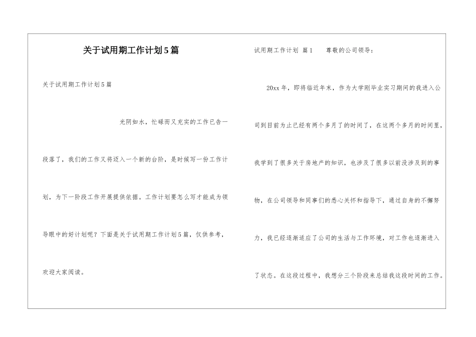 关于试用期工作计划5篇_第1页