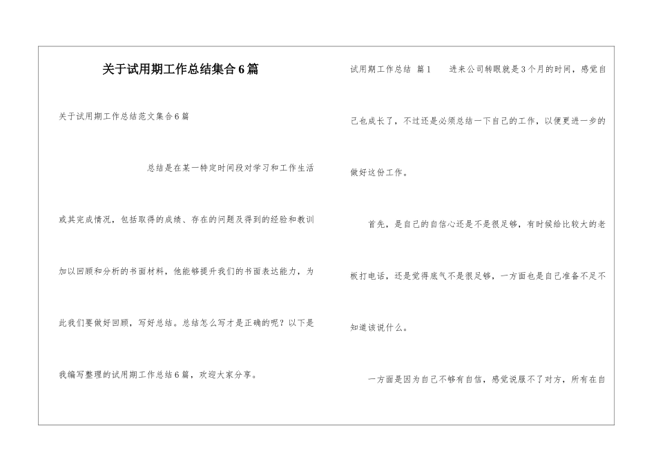 关于试用期工作总结集合6篇_第1页