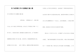 关于试用期工作计划模板汇编5篇