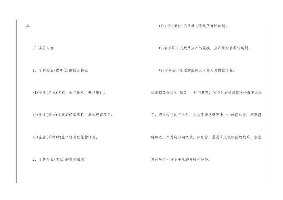 关于试用期工作计划模板锦集6篇_第2页