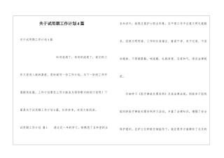 关于试用期工作计划4篇