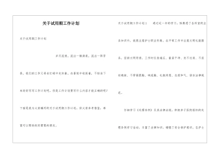 关于试用期工作计划