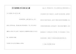 关于试用期工作计划汇总七篇