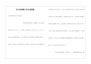 关于试用期工作计划四篇