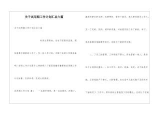 关于试用期工作计划汇总六篇