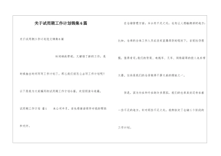 关于试用期工作计划锦集6篇
