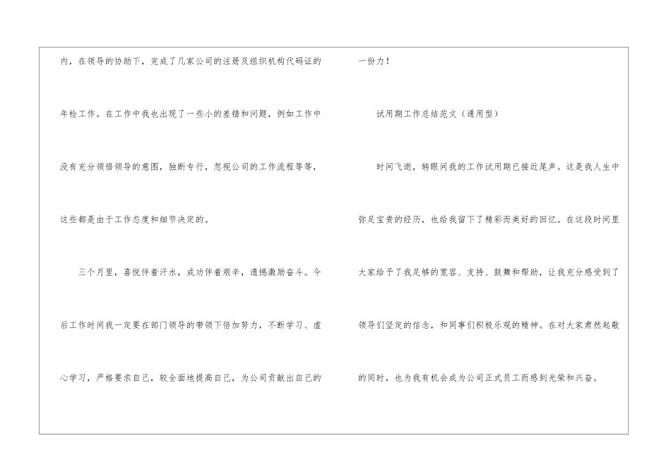 关于试用期工作计划集合五篇_第2页