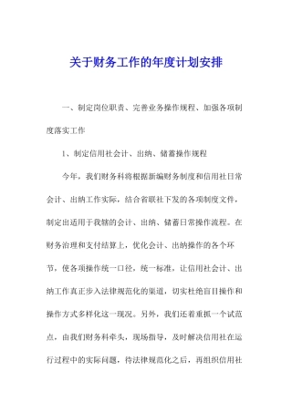 关于财务工作的年度计划安排