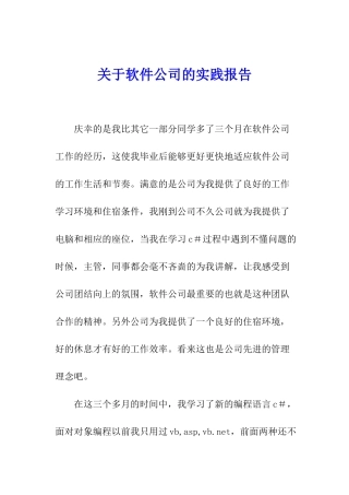 关于软件公司的实践报告