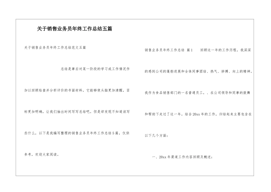 关于销售业务员年终工作总结五篇_第1页