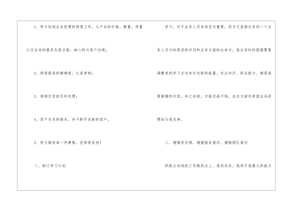 关于销售业务员的工作计划集合5篇_第2页