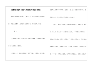 关于骑马的经历作文