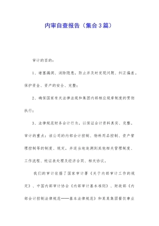 内审自查报告
