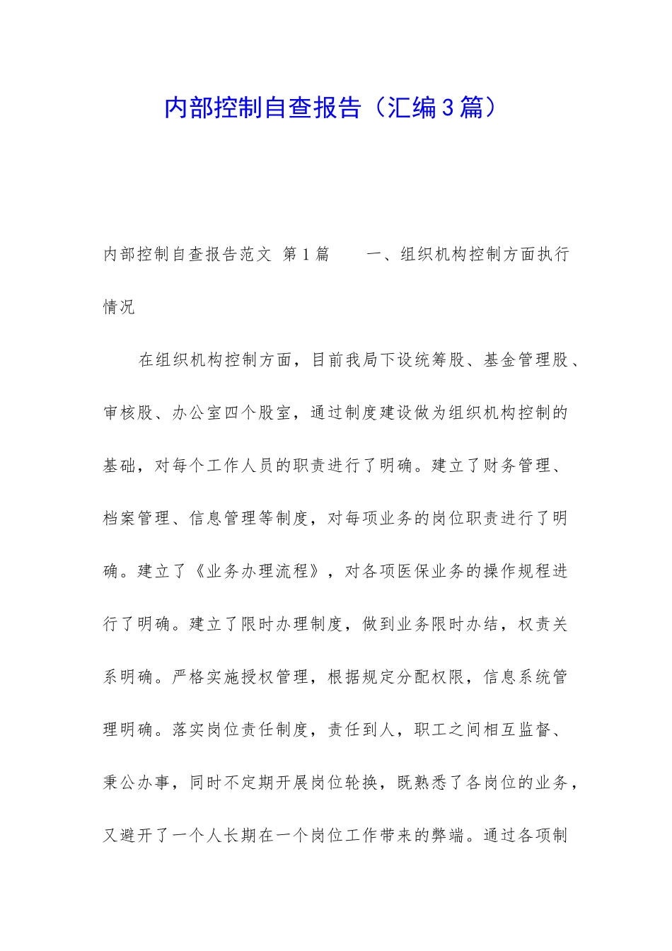 内部控制自查报告_第1页