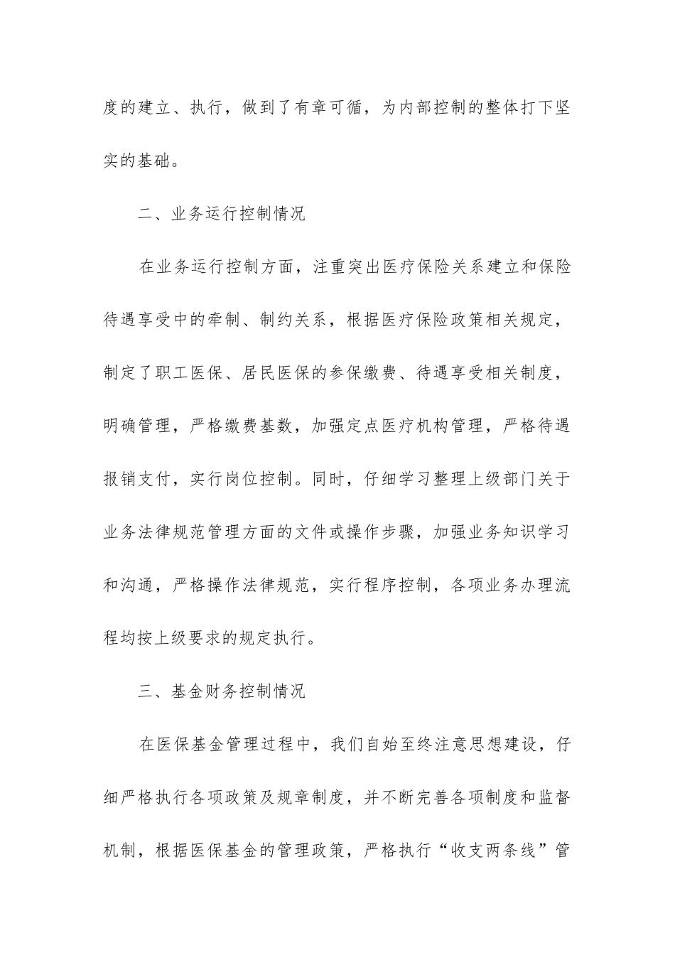 内部控制自查报告_第2页