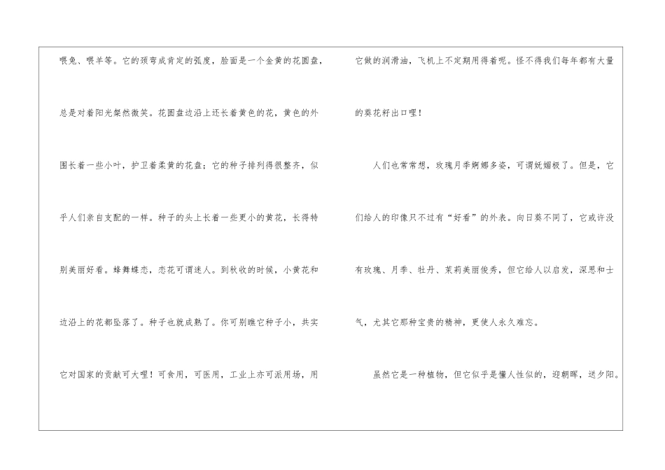 写向日葵的作文_第2页