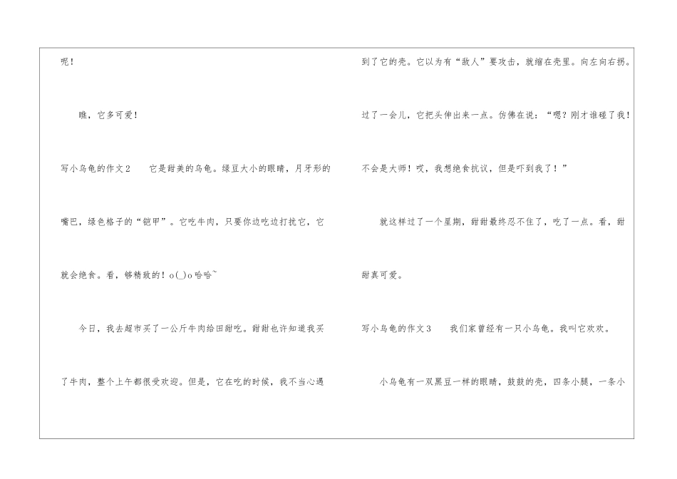 写小乌龟的作文_第2页