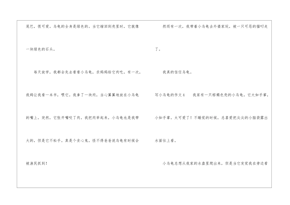 写小乌龟的作文_第3页