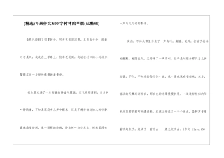 写景作文600字树林的早晨