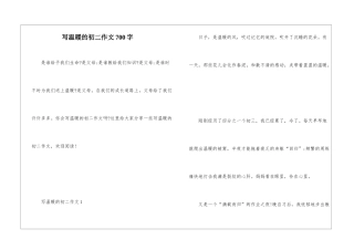 写温暖的初二作文700字