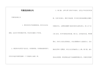 写菊花的排比句