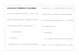 农业农村局关于开展职称评审工作的自查报告