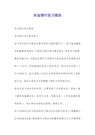 农业银行实习报告-