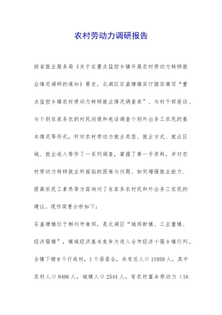农村劳动力调研报告-