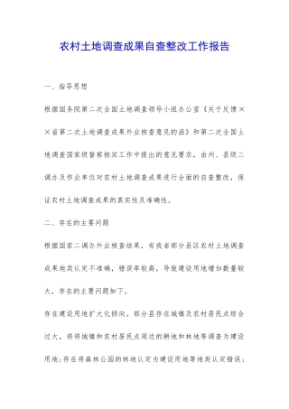 农村土地调查成果自查整改工作报告-